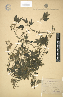 LE 01004172