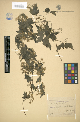 LE 01004173
