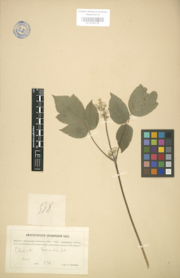 LE 01004178