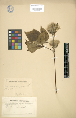 LE 01004179