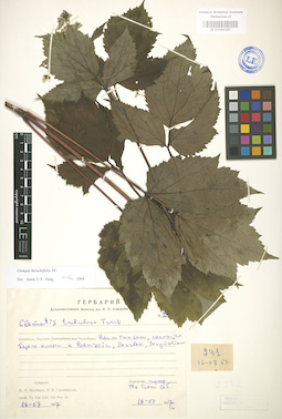 LE 01004183