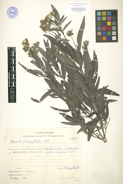 LE 01004184