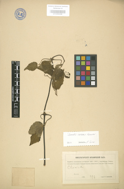 LE 01004188