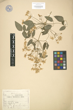 LE 01004190