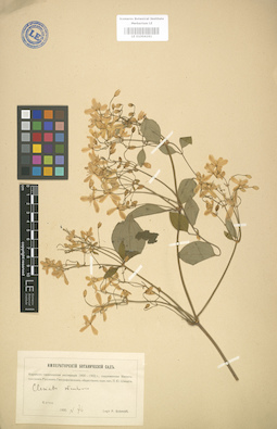 LE 01004191
