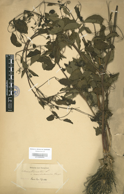 LE 01004192