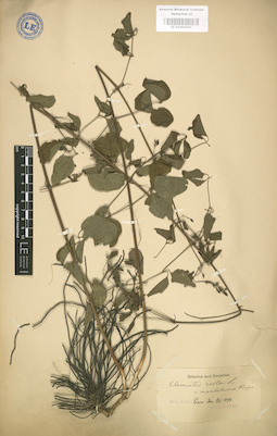 LE 01004193