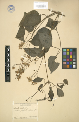 LE 01004195