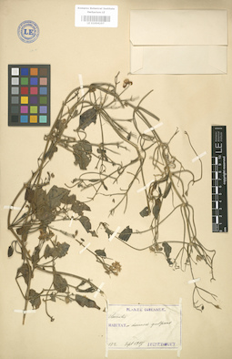 LE 01004197