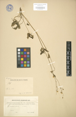 LE 01004210