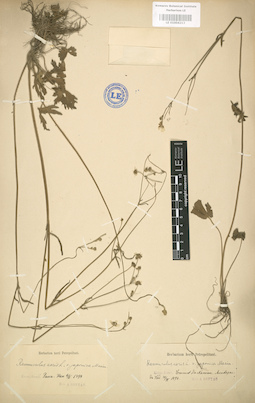 LE 01004213