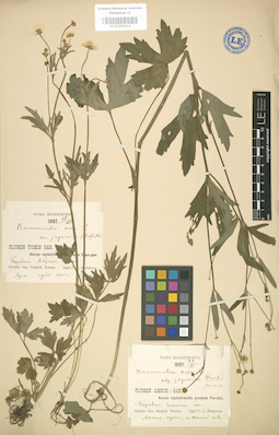 LE 01004214