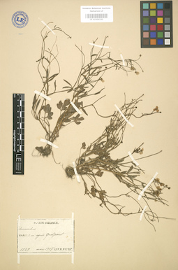 LE 01004220