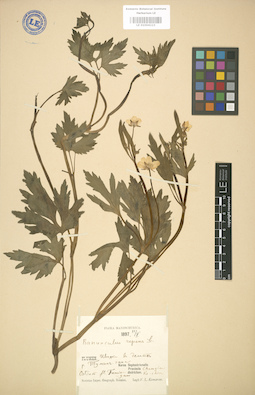 LE 01004223