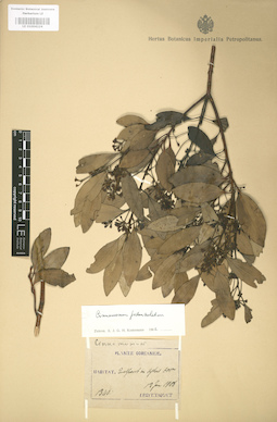 LE 01004224