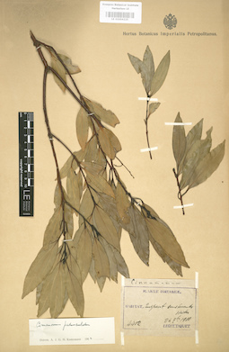 LE 01004225