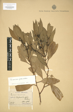 LE 01004226