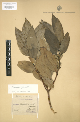 LE 01004228