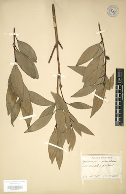 LE 01004229