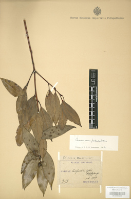 LE 01004230