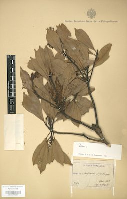 LE 01004240