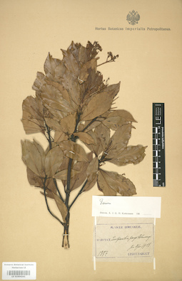 LE 01004241