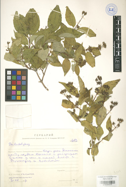 LE 01004275