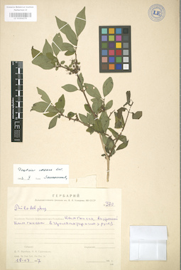 LE 01004276