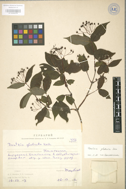 LE 01004278
