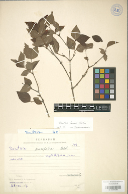 LE 01004280