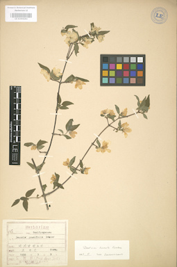 LE 01004282