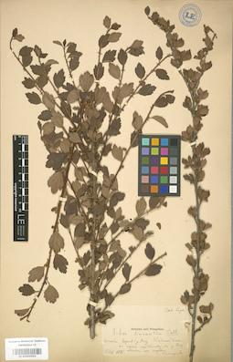 LE 01004304