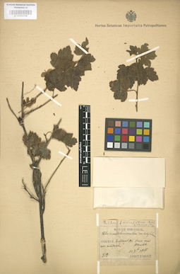 LE 01004308