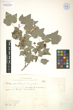 LE 01004315