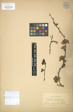 LE 01004321