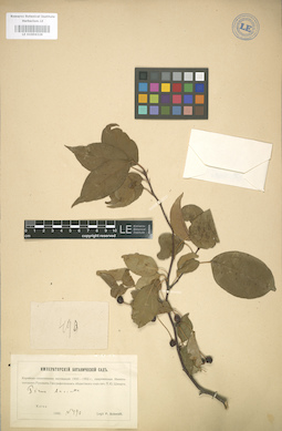 LE 01004326