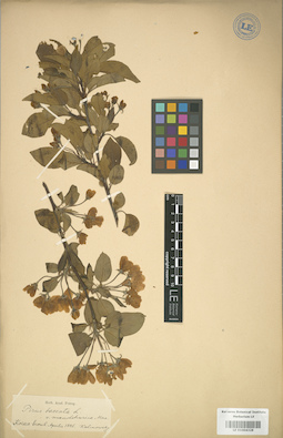 LE 01004328