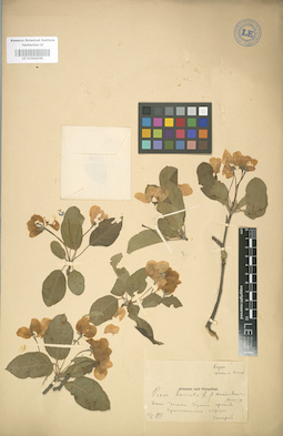 LE 01004329