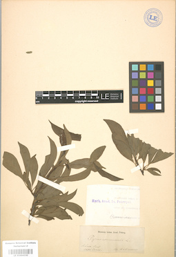 LE 01004330