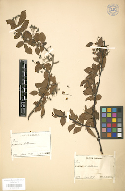 LE 01004340