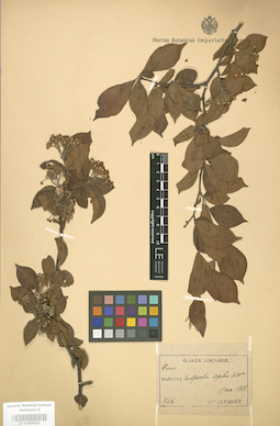 LE 01004343