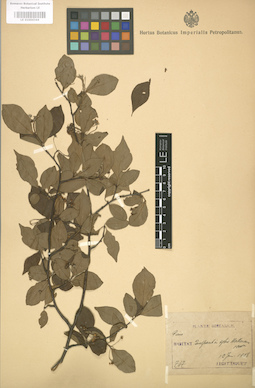 LE 01004344