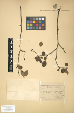 LE 01004345