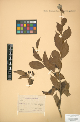 LE 01004347