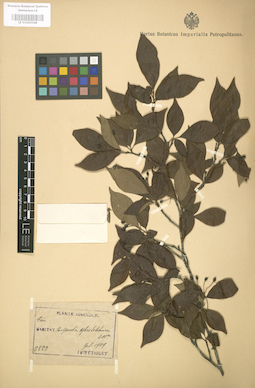 LE 01004348