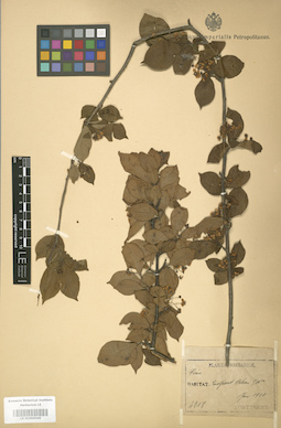 LE 01004349