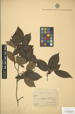 LE 01004351