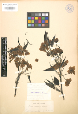 LE 01004352