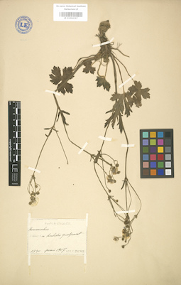 LE 01004367
