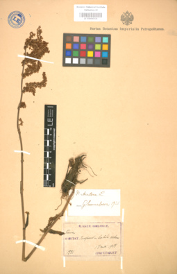 LE 01004368